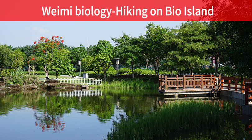 Biological Island hiking